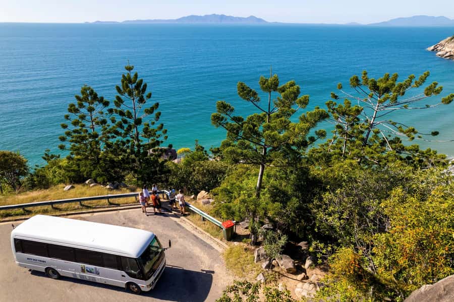 Magnetic Island: Guided Bus Tour with Morning Tea - The Butterfly Forest Walk is a seasonal bonus