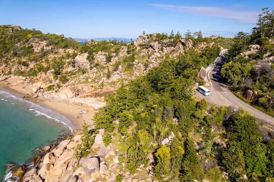 Magnetic Island: Guided Bus Tour with Morning Tea - Aquasearch explains the island’s marine life