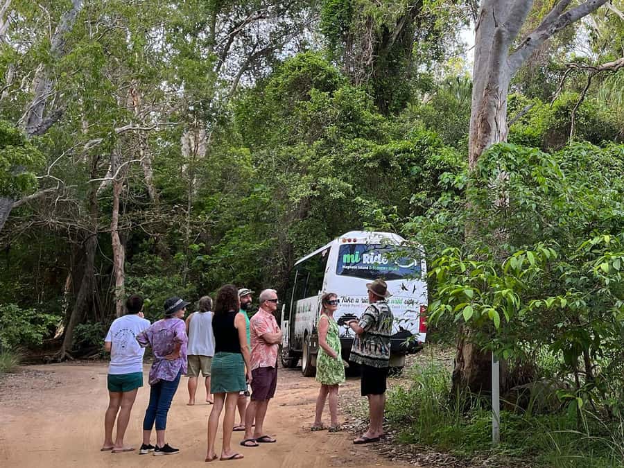 Magnetic Island: West Coast Eco Adventure Bus Tour - Starting at Nelly Bay before the island wakes up