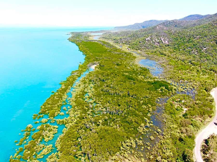 Magnetic Island: West Coast Eco Adventure Bus Tour - Cockle Bay shows the quieter side of Magnetic Island