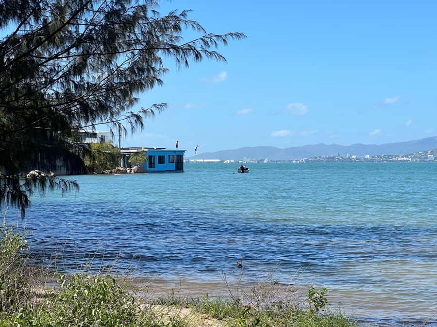 Magnetic Island: West Coast Eco Adventure Bus Tour - Bolger Bay Conservation Park adds a proper bush stop