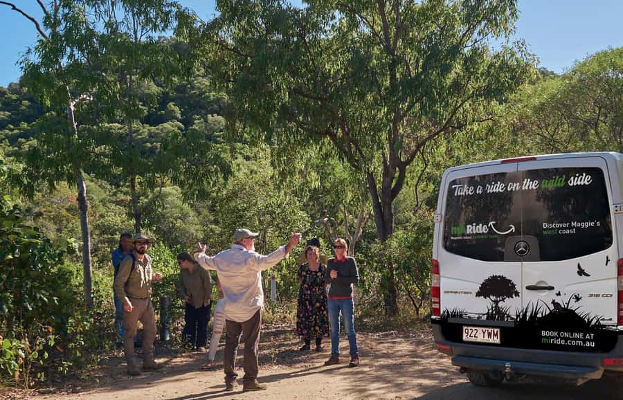Magnetic Island: West Coast Eco Adventure Bus Tour - Morning tea brings local flavor to the bush