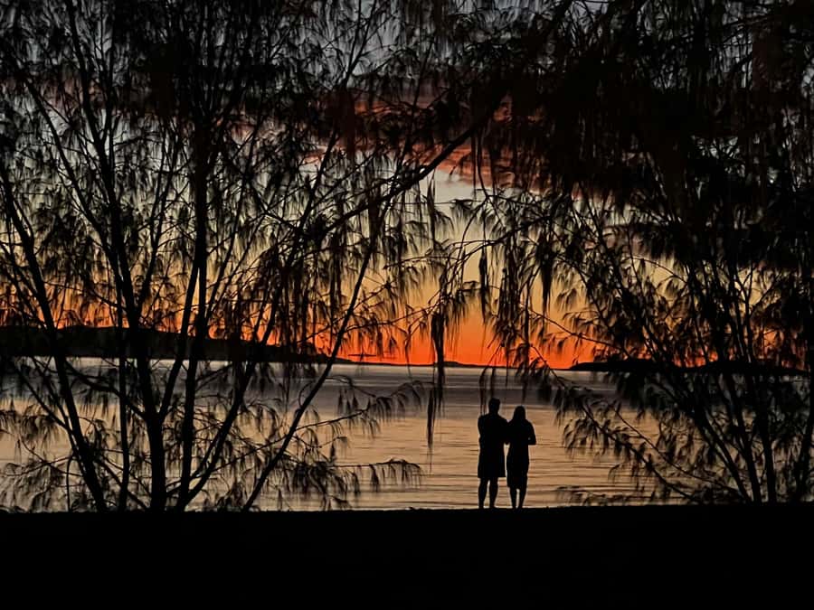 Magnetic Island: West Coast Eco Adventure Bus Tour - What the guiding adds to the wildlife search