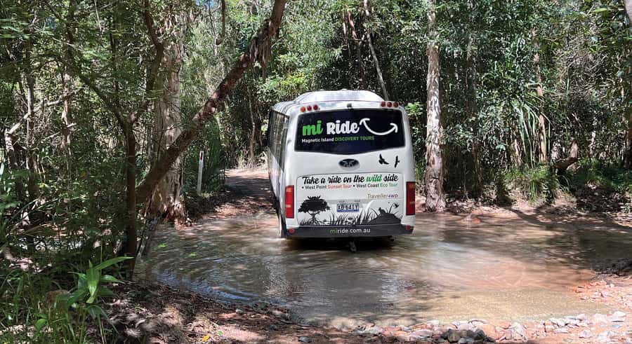 Magnetic Island: West Coast Eco Adventure Bus Tour - Picnic Bay gives the tour its first coastal view