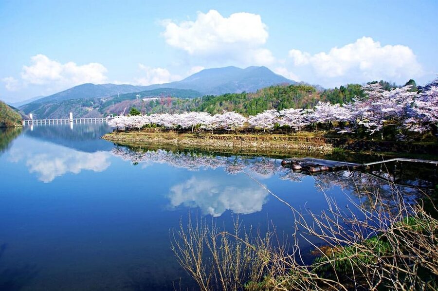 Magome-juku, Tsumago-juku & Ena-kyo 1d Bus Tour from Nagoya - Starting from Nagoya Station at 8:30
