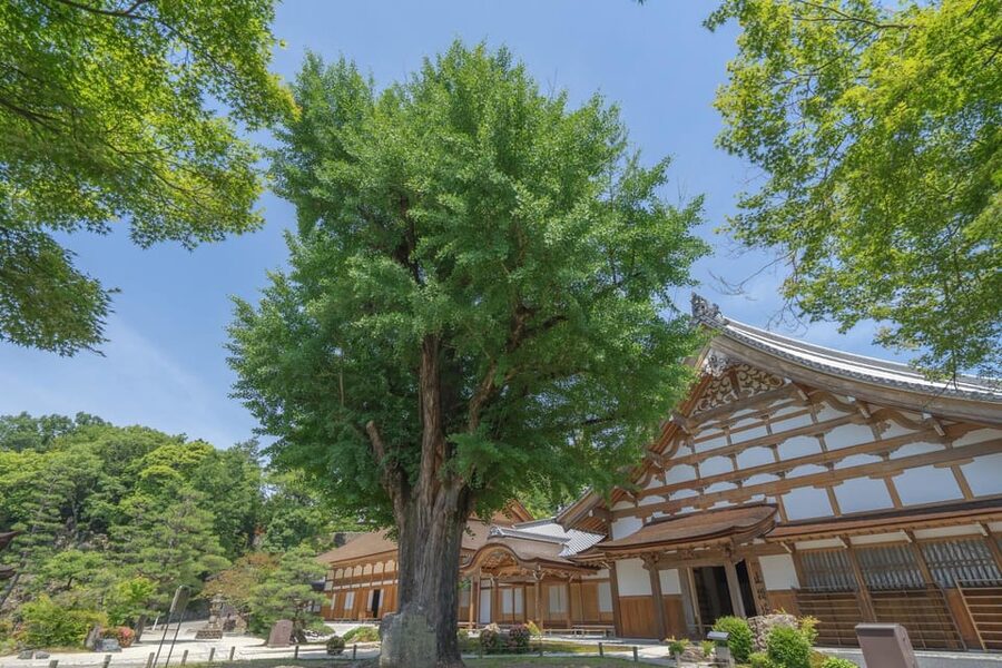 Magome-juku, Tsumago-juku & Ena-kyo 1d Bus Tour from Nagoya - Who will enjoy this day most?