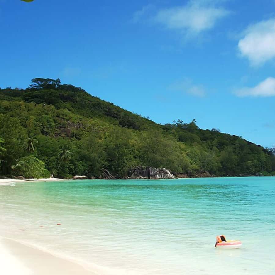 Mahe Discovery Bus Tour - Port Launay and the value of a flexible route