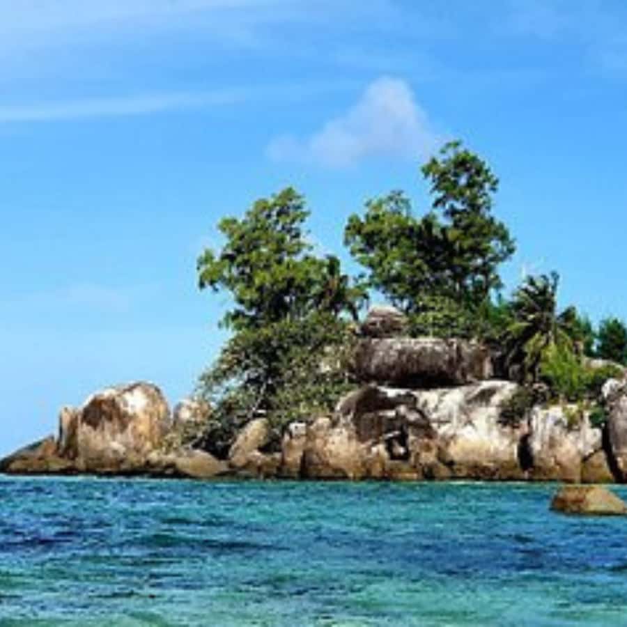 Mahe Discovery Bus Tour - Pickup in Grand’Anse and the shared van
