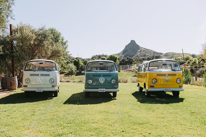 Malibu: Vintage VW Bus and Vineyard Tour - Local snacks round out the final 20 minutes