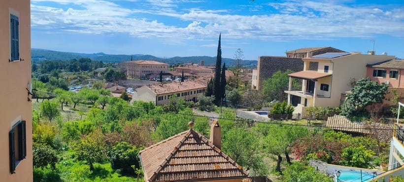 Mallorca: 3-hour bus tour around Calvià with 2 stops - Port Adriano: Mallorca’s polished marina
