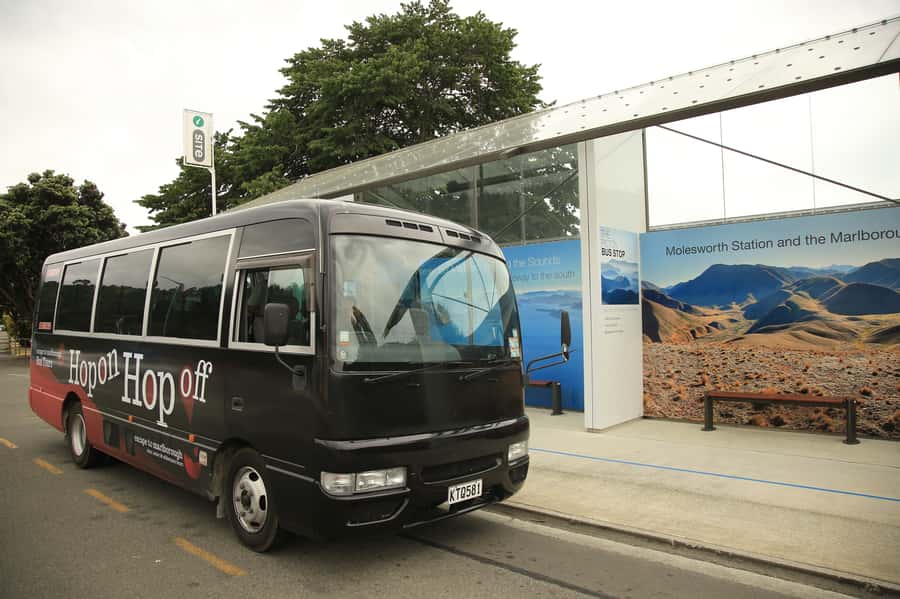 Marlborough: Hop-On Hop-Off Wine, Brewery, and Wonders Tour - Allan Scott and the case for booking lunch
