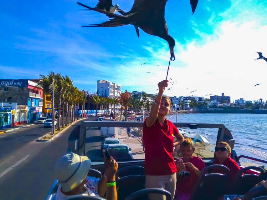 Mazatlán: Double-Decker Bus, Cliff Diving & Walking Tour - Riding the Malecón from the coast to Zona Dorada