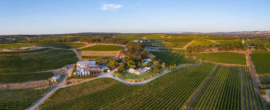 McLaren Vale North: Hop-On Hop-Off Tour - Key points for planning your McLaren Vale day