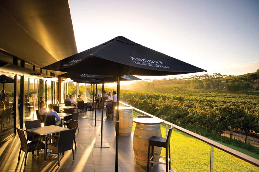 McLaren Vale North: Hop-On Hop-Off Tour - Why the hop-on hop-off format works here