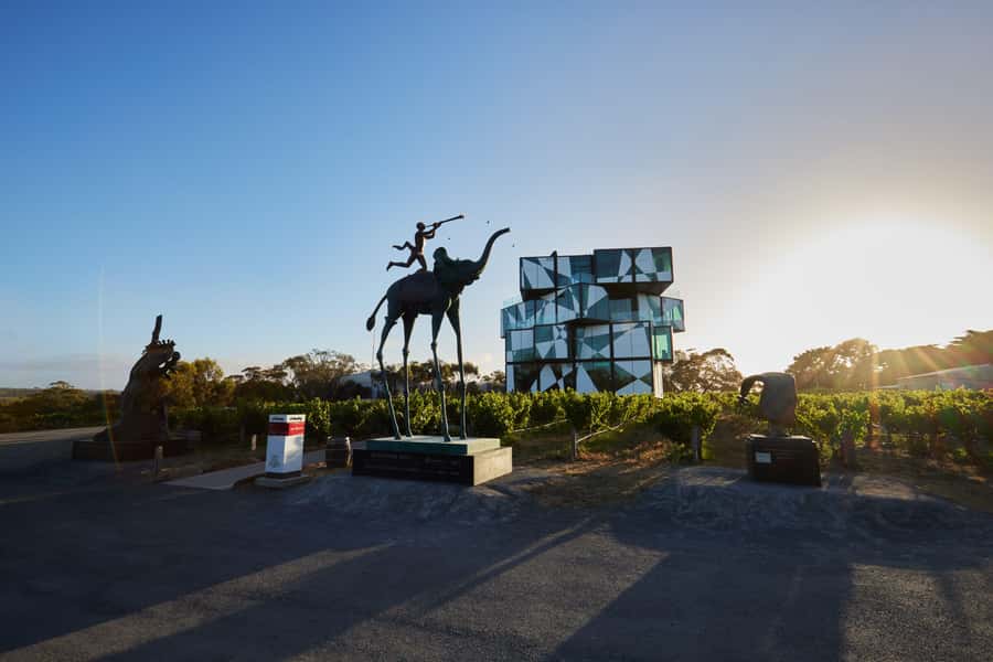 McLaren Vale North: Hop-On Hop-Off Tour - Choosing your first cellar door