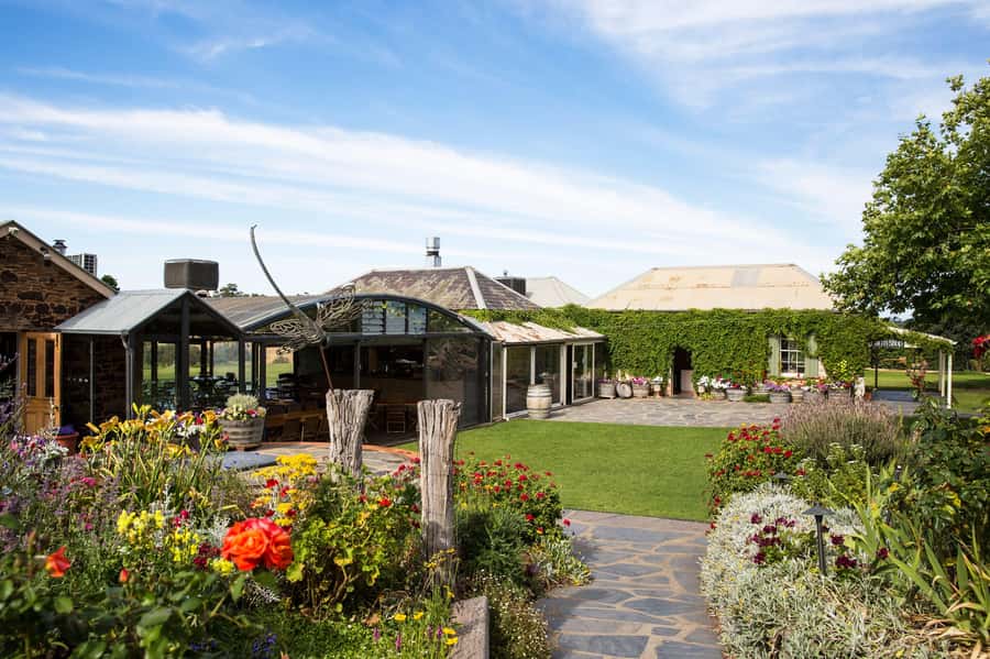 McLaren Vale North: Hop-On Hop-Off Tour - What the $70 fare really buys you