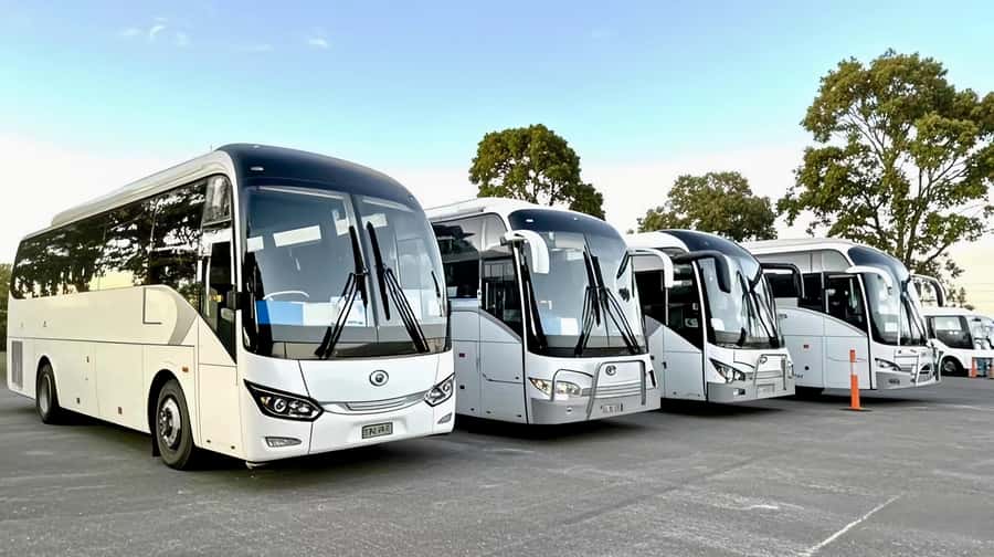 Melbourne Great Ocean Road Benz SmallGroup&LuxCoach BigGroup - Key points to know before booking