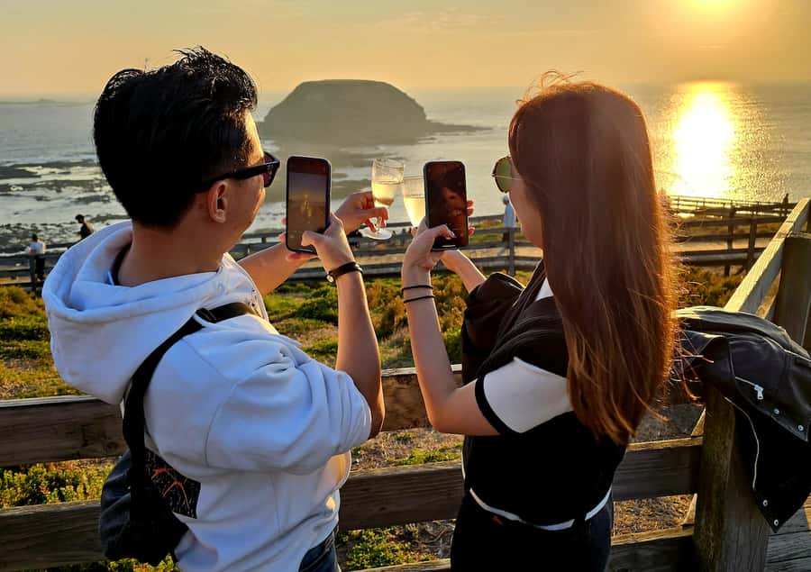 Melbourne: Phillip Island Tour w/ Hop-on Bus or Seal Cruise - Why this Phillip Island day trip works