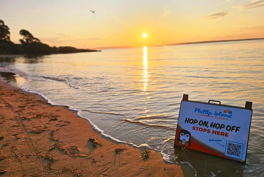 Melbourne: Phillip Island Tour w/ Hop-on Bus or Seal Cruise - Choose the seal cruise for a close wildlife encounter