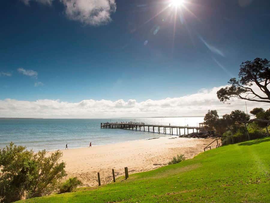 Melbourne: Phillip Island Tour w/ Hop-on Bus or Seal Cruise - The Penguin Parade after sunset
