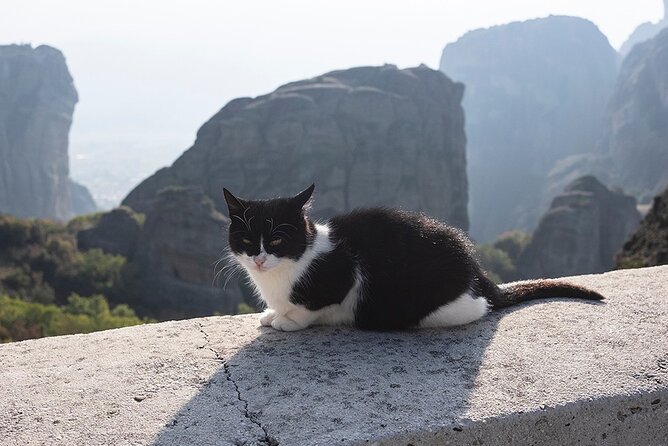 Meteora Full-Day Trip with Guide on Luxury Bus From Athens - Is $111.13 Good Value?