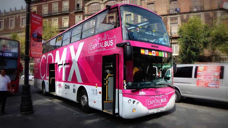 Mexico City: Night Bus Tour - The first stretch: cathedral, art, and Garibaldi