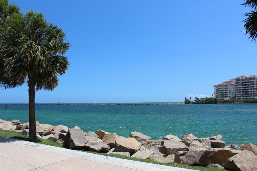 Miami: City Bus Tour with Downtown or Miami Beach Pickup - The guide can shape the experience