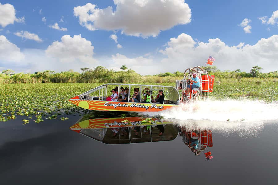 Miami: Everglades Experience, Bay Cruise & Open-Top Bus Tour - Should you book this Miami triple tour?