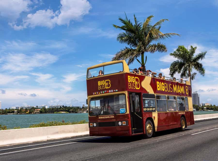 Miami: Everglades Experience, Bay Cruise & Open-Top Bus Tour - One day or two?