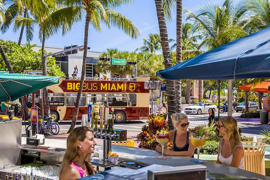Miami: Everglades Experience, Bay Cruise & Open-Top Bus Tour - Start at the right Miami meeting point
