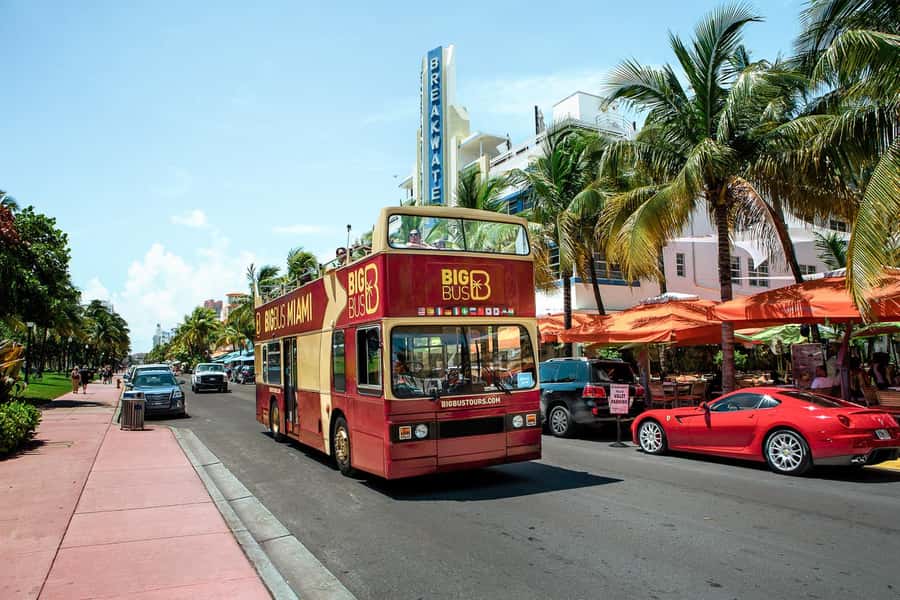 Miami: Hop-on Hop-off Open-top Bus Tour and Optional Cruise - Is the $45 Price Good Value?