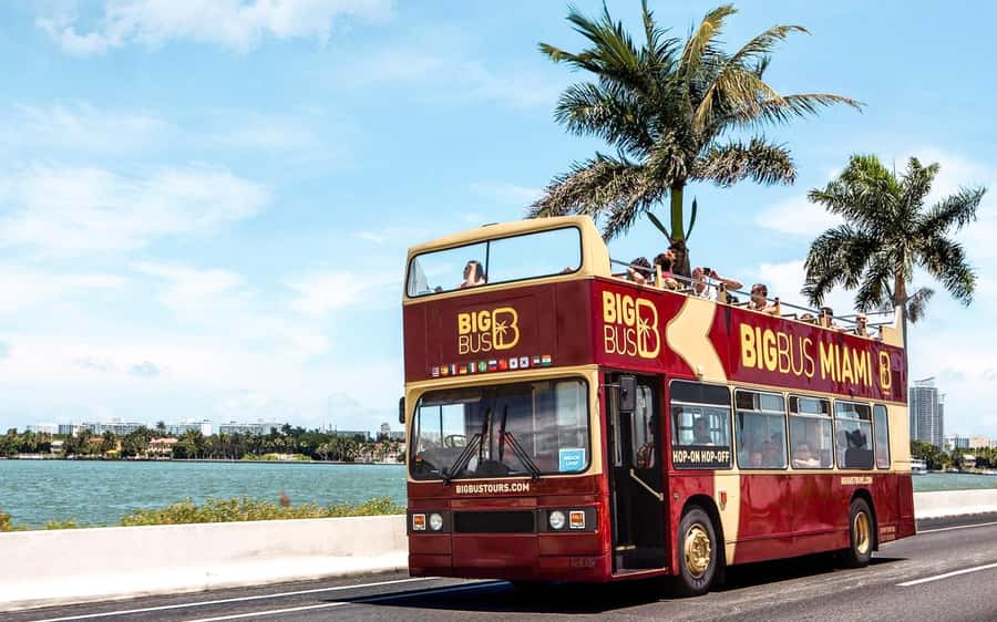 Miami: Hop-on Hop-off Open-top Bus Tour and Optional Cruise - South Beach and Art Deco Miami