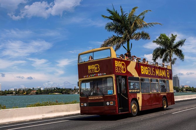 Miami: Hop-on Hop-off Tour + Cruise & Free 1-Hour Bike Rental - South Beach brings the classic Miami postcard