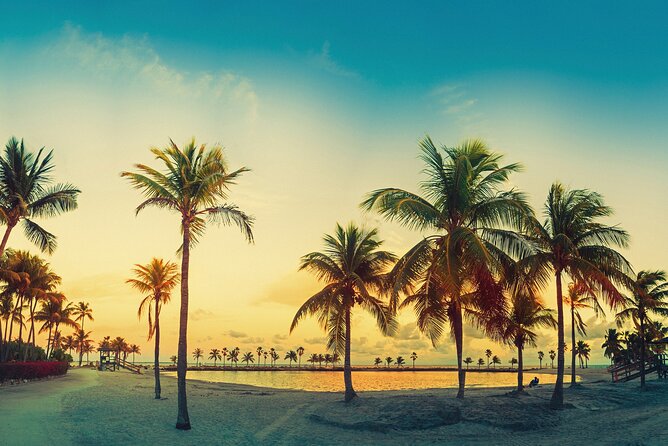 Miami: Open-top Bus Sightseeing Night Tour with Live Guide - Downtown, Kaseya Center, and the Port of Miami