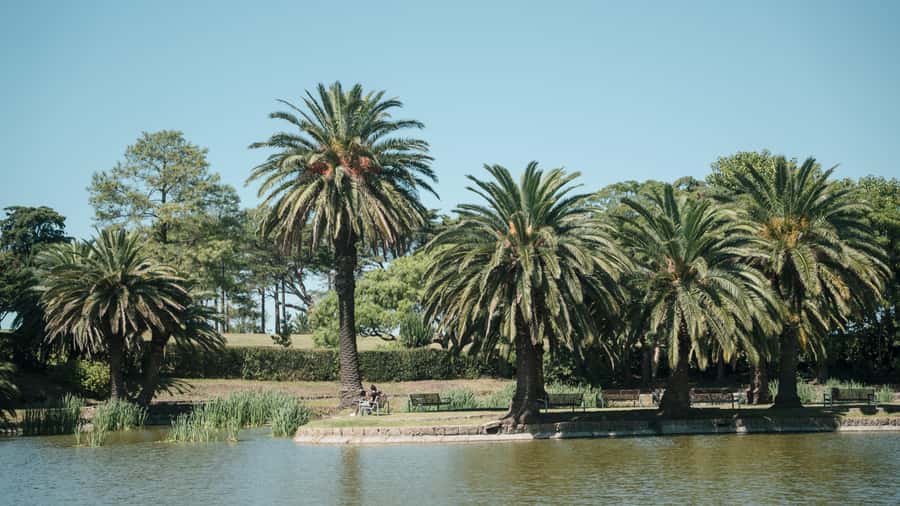 Montevideo: Sightseeing Hop-On Hop-Off Bus Tour - Starting at Montevideo Port