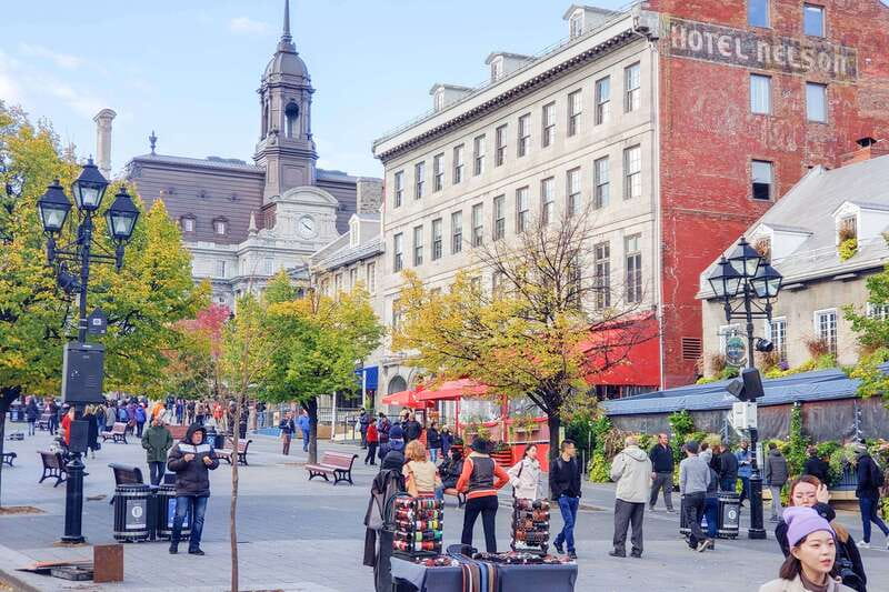 Montreal: Guided Bus Tour - McGill and the two sides of university Montreal