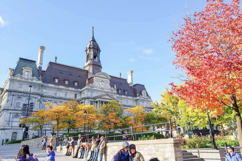 Montreal: Guided Bus Tour - Olympic Park, the Olympic Village, and the Formula One track