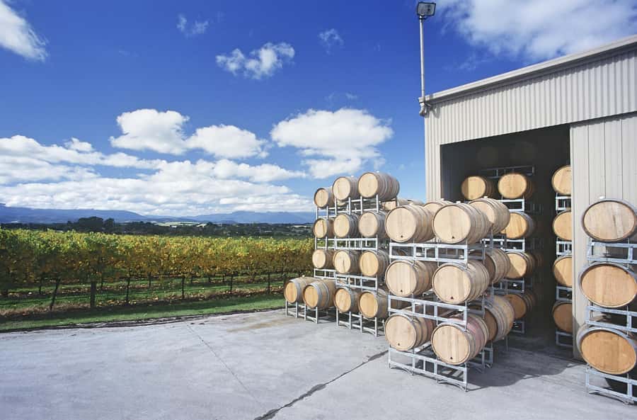 Mornington Peninsula Scenic Bus Tour with Chairlift & Lunch - The winery lunch and tasting