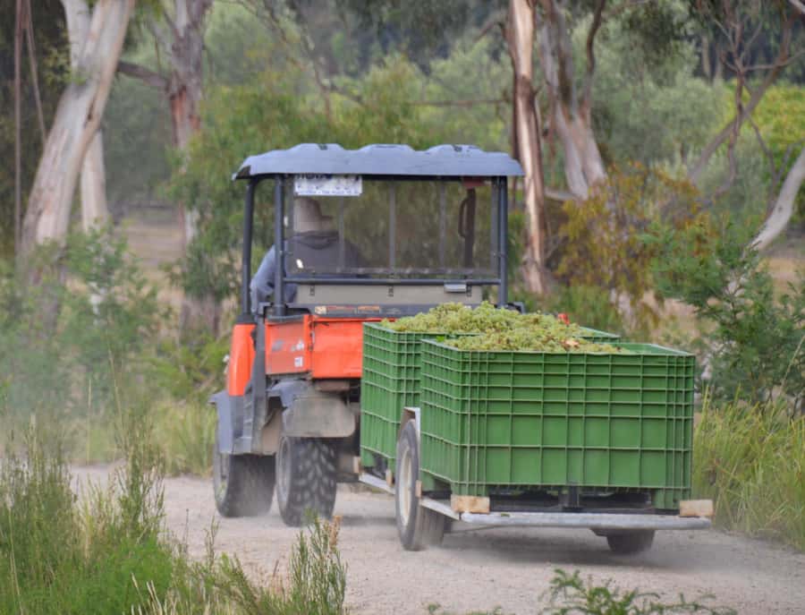 Mornington Peninsula Winery Bus Tour with Lunch & Wine - Practical tips for a smoother day