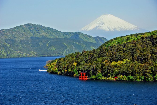 Mt Fuji and Hakone 1-Day Bus Tour Return by Bus - Hakone’s ropeway and the view from above