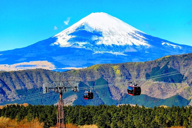 Mt Fuji and Hakone 1-Day Bus Tour Return by Bus - Returning to Tokyo: Odawara or Shinjuku?