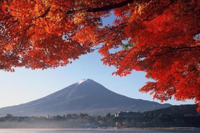 Mt Fuji & Hakone Cruise, Drum Show Bus 1 Day from Tokyo - The long return to Tokyo