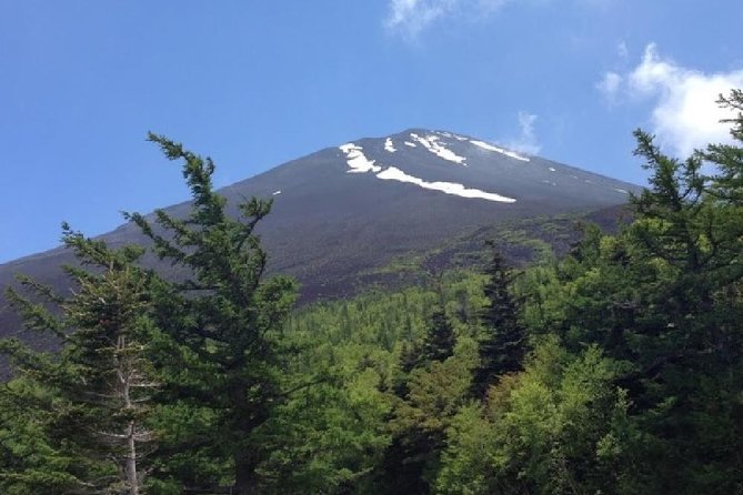 Mt Fuji & Hakone Cruise, Drum Show Bus 1 Day from Tokyo - Price, group size, and overall value