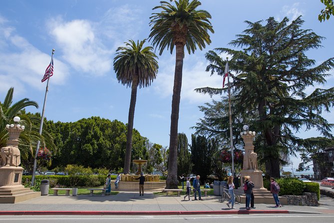Muir Woods and Sausalito (Return by Bus or Ferry) - Leaving Union Square or Fisherman’s Wharf