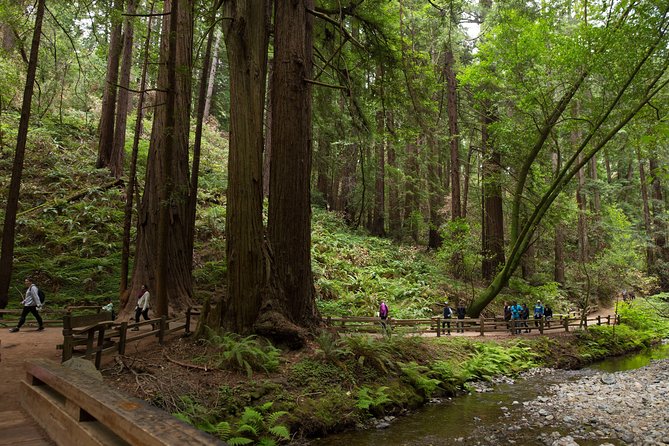 Muir Woods and Sausalito (Return by Bus or Ferry) - A ten-minute view of the Golden Gate Bridge