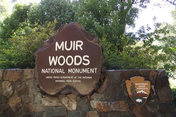 Muir Woods and Sausalito (Return by Bus or Ferry) - Comfort, group size, and the practical details