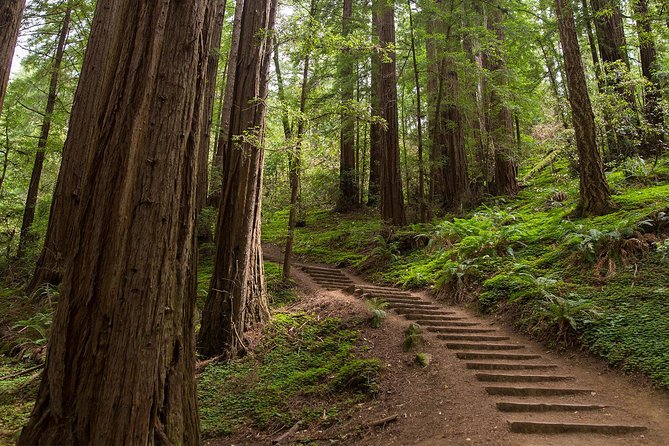 Muir Woods and Sausalito (Return by Bus or Ferry) - What happens if Muir Woods is closed