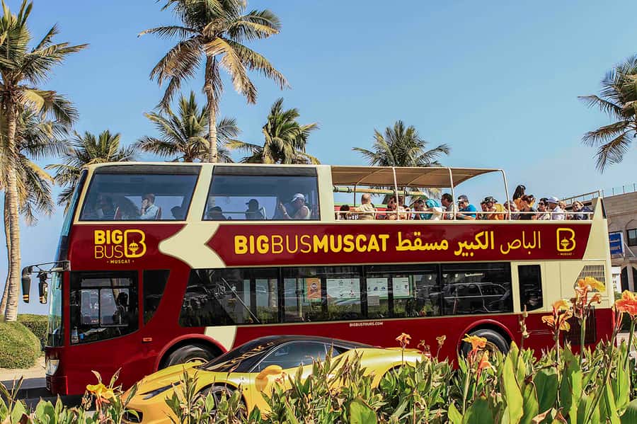 Muscat: Big Bus Hop-On Hop-Off Sightseeing Tour - What the Muscat Big Bus tour is really good for