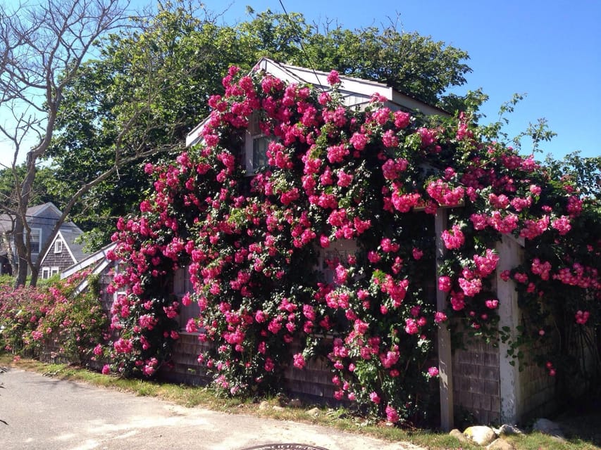 Nantucket: Historical Landmarks Sightseeing Bus Tour - The Old Mill, a working island landmark