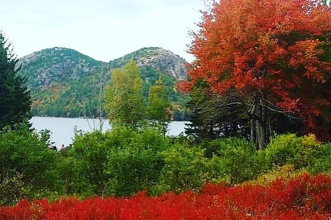Narrated Bus Tour of Bar Harbor and Acadia National Park - What the narration adds to the scenery